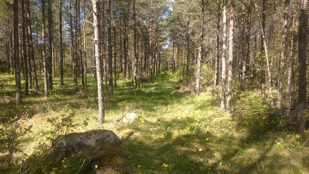 Nature Getaway Holiday Home Mujaste Экстерьер фото
