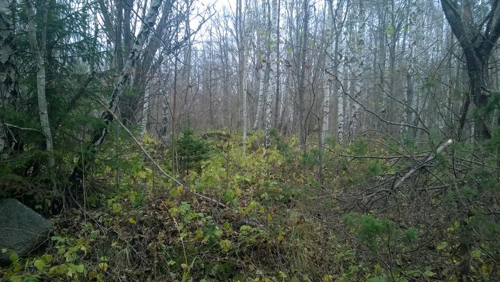 Nature Getaway Holiday Home Mujaste Экстерьер фото